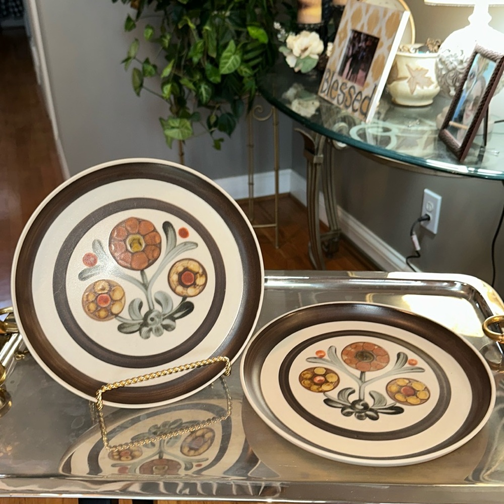 Mayflower Denby Langley Vintage 10 inch plate set of two. 🌼 1960’s